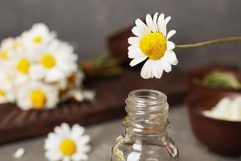 Chamomile flower over bottle with essential oil on blurred background, closeu Fotos Stock