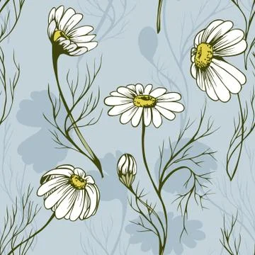 Chamomile flower vector seamlees pattern Stock Illustration