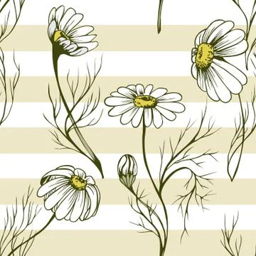 Chamomile flower vector seamlees pattern Illustrazione stock