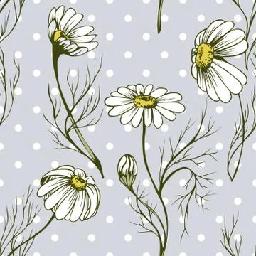 Chamomile flower vector seamlees pattern Stock Illustration