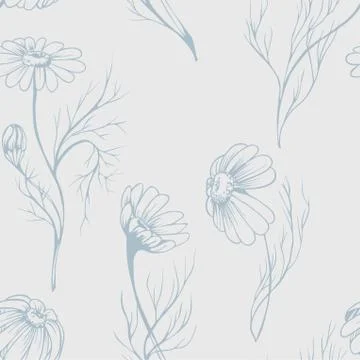 Chamomile flower vector seamlees pattern Stock Illustration