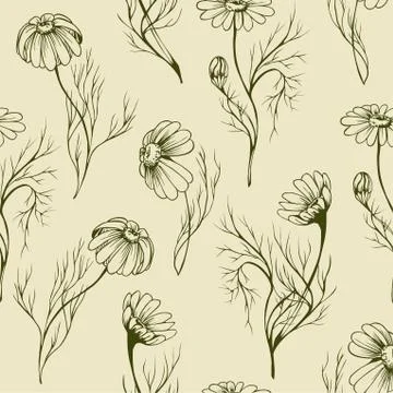 Chamomile flower vector seamlees pattern Stock Illustration