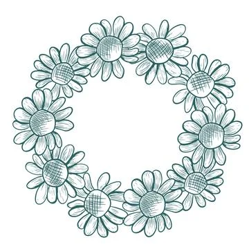 Chamomile flower wreath. Vector round wreath, hand-drawn in a graphic style.. Stock Illustration