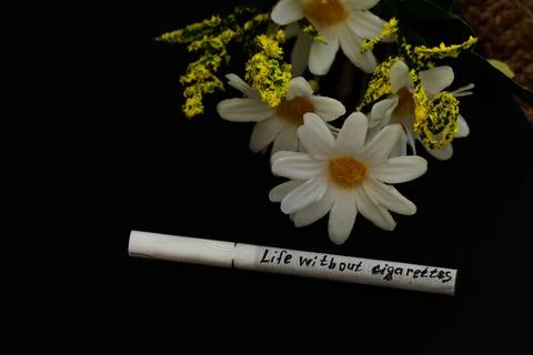 Chamomile flowers and a white cigarette on a black background. Stock Photos