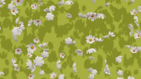 Chamomile flowers falling on a green background. Abstract animation Stock Footage 265244678