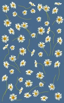 Chamomile flowers pattern on blue background. Textile pattern  Stock Illustration
