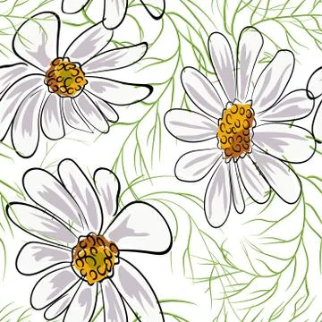 Chamomile flowers seamless pattern vector illustration eps 10. Stock Illustration