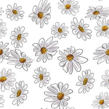 Chamomile flowers seamless pattern vector illustration eps 10. Stock Illustration