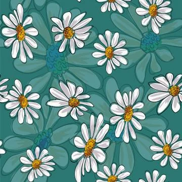 Chamomile flowers seamless pattern vector illustration. Stock-Illustration