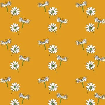 Chamomile flowers seamless pattern. White chamomiles on yellow background. Stock Illustration