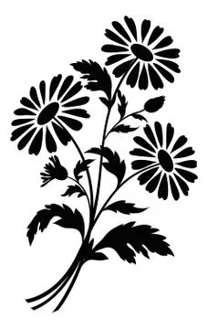 Chamomile flowers, silhouettes Stock Illustration