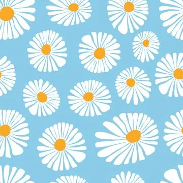 Chamomile flowers simple design seamless pattern. Stock Illustration