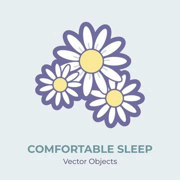 Chamomile flowers vector isolated. Chamomile for comfortable sleep illustration. Stock Illustration