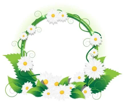 Chamomile frame Stock Illustration