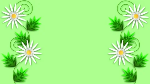 Chamomile on a green background Stock Footage 237151588