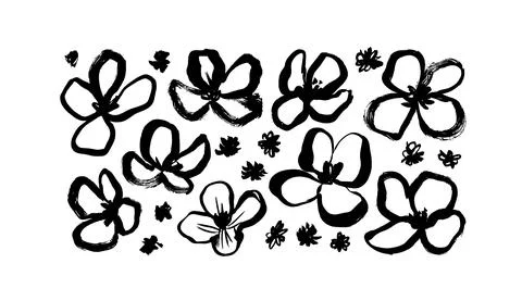 Chamomile hand drawn black painted vector set. Stock Illustration