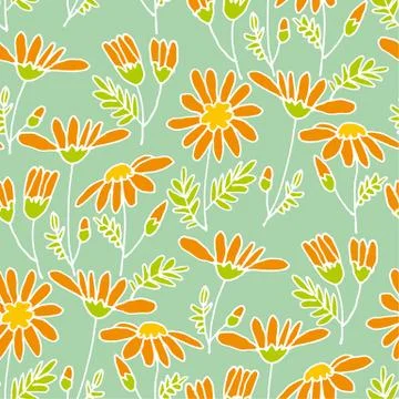Chamomile hand drawn seamless pattern Stock Illustration