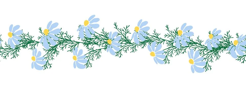 Chamomile horizontal border seamless pattern イラスト素材