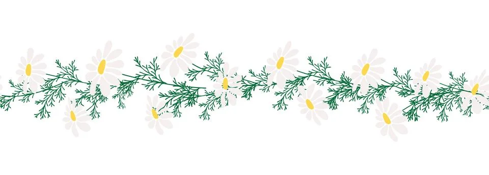Chamomile horizontal border seamless pattern 스톡 일러스트