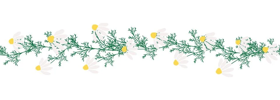 Chamomile horizontal border seamless pattern Stock Illustration