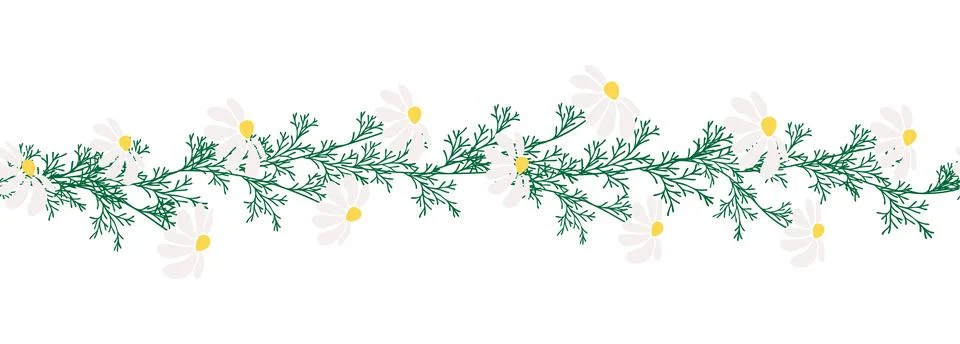Chamomile horizontal border seamless pattern Stockillustratie