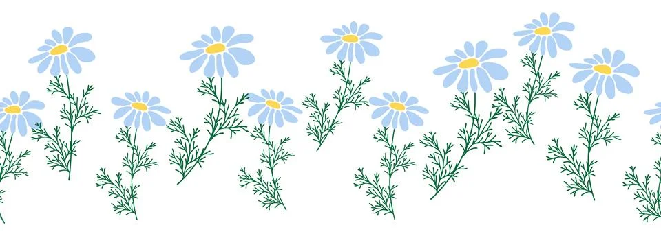 Chamomile horizontal border seamless pattern Stock Illustration