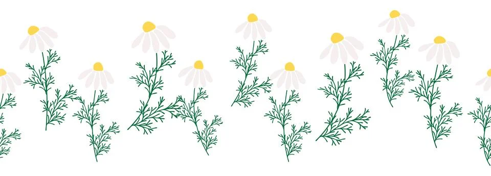 Chamomile horizontal border seamless pattern 스톡 일러스트