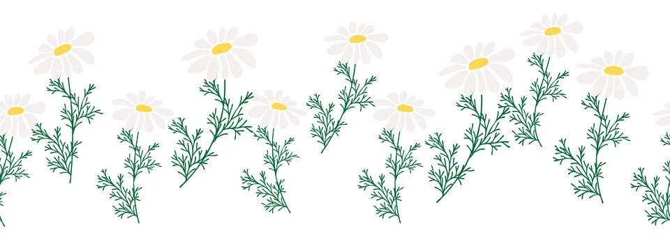 Chamomile horizontal border seamless pattern Illustrazione stock