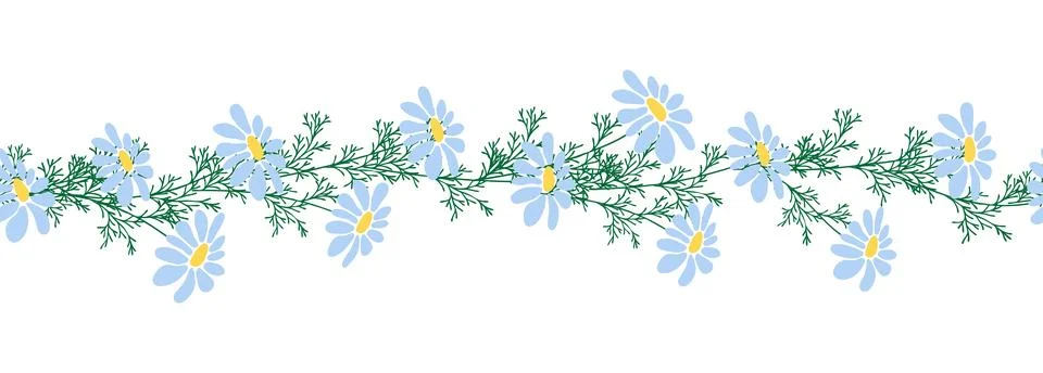 Chamomile horizontal border seamless pattern 스톡 일러스트
