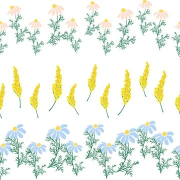 Chamomile horizontal border seamless pattern. Floral seamless border イラスト素材