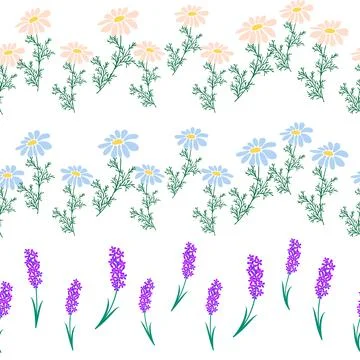 Chamomile horizontal border seamless pattern. Floral seamless border Stock Illustration