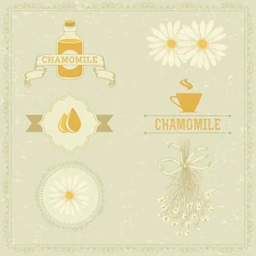 Chamomile Stock Illustration