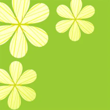 Chamomile Stock Illustration