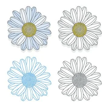 Chamomile Stock Illustration
