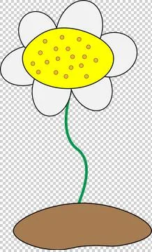 Chamomile Illustrazione stock