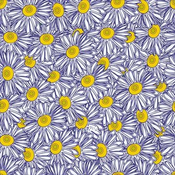 Chamomile Stock Illustration