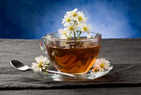 Chamomile with marguerite Stock Photos