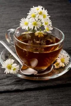 Chamomile with marguerite Stock Photos