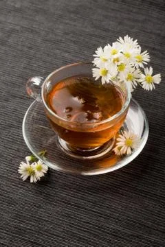 Chamomile with marguerite Stock Photos