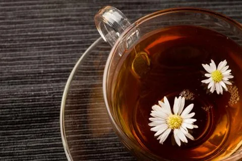 Chamomile with marguerite Stock Photos