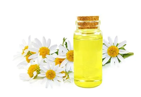 Chamomile oil Stock Photos