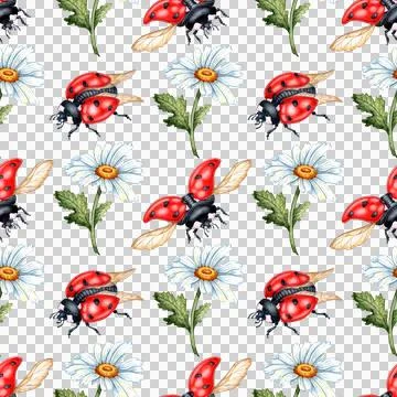 Chamomile pattern and ladybugs watercolor Stock Illustration
