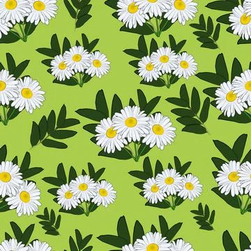 Chamomile pattern Stock Illustration