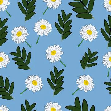 Chamomile pattern Stock Illustration