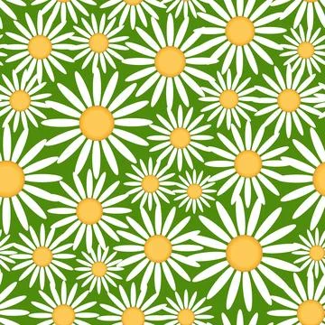 Chamomile pattern Stock Illustration
