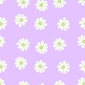 Chamomile pattern seamless in freehand style. Spring flowers on colorful back Stock Illustration