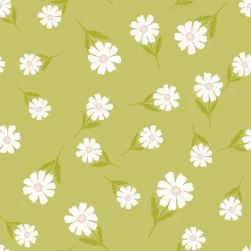 Chamomile pattern seamless in freehand style. Spring flowers on colorful back 스톡 일러스트