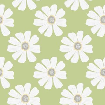 Chamomile pattern seamless in freehand style. Spring flowers on colorful back 스톡 일러스트