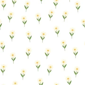 Chamomile pattern seamless in freehand style. Spring flowers on colorful back Stock Illustration