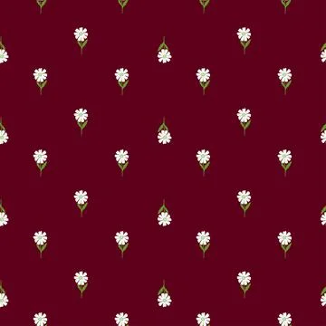 Chamomile pattern seamless in freehand style. Spring flowers on colorful back Stock Illustration